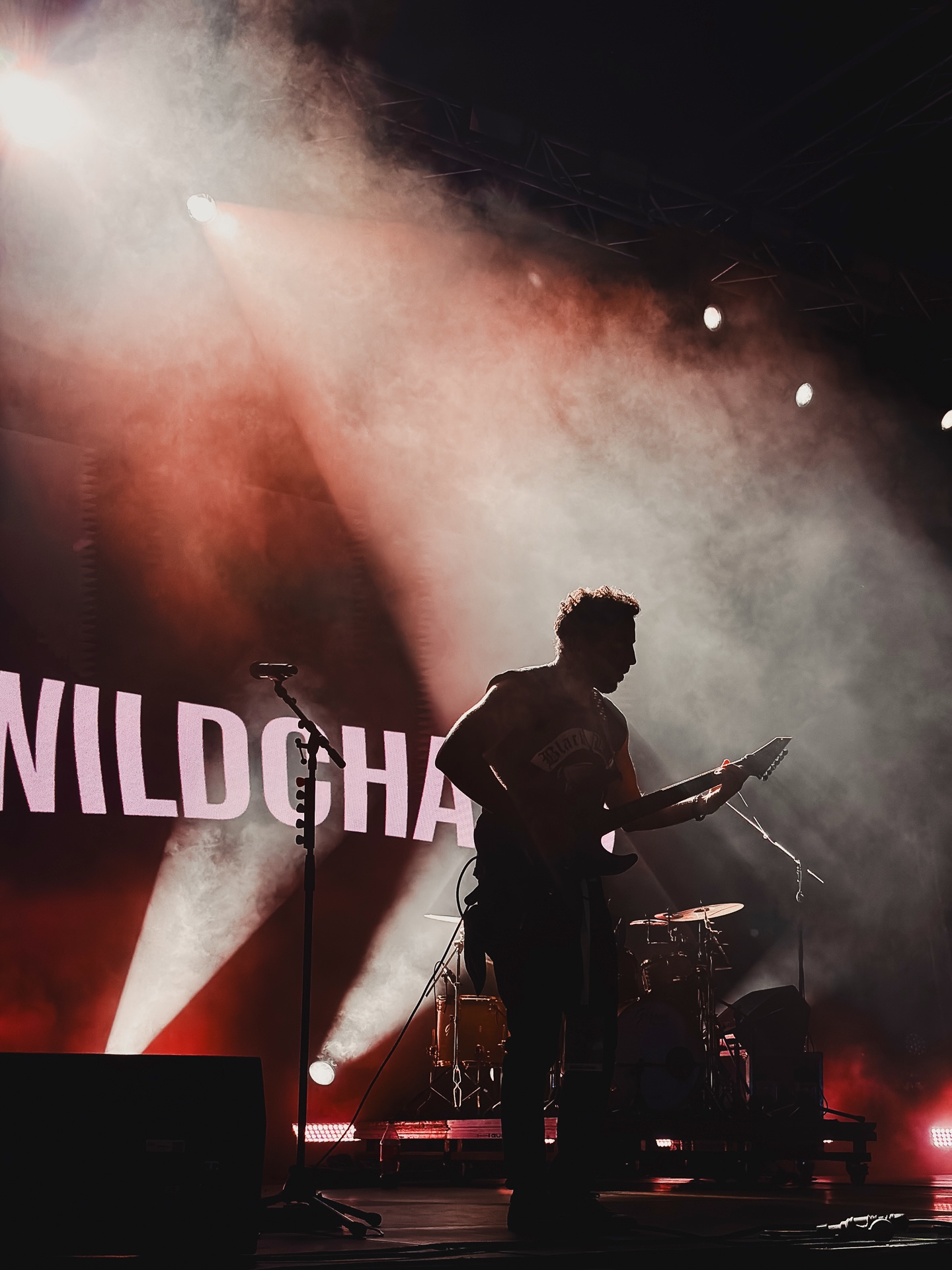 WILDCHAINS Diário do Minho