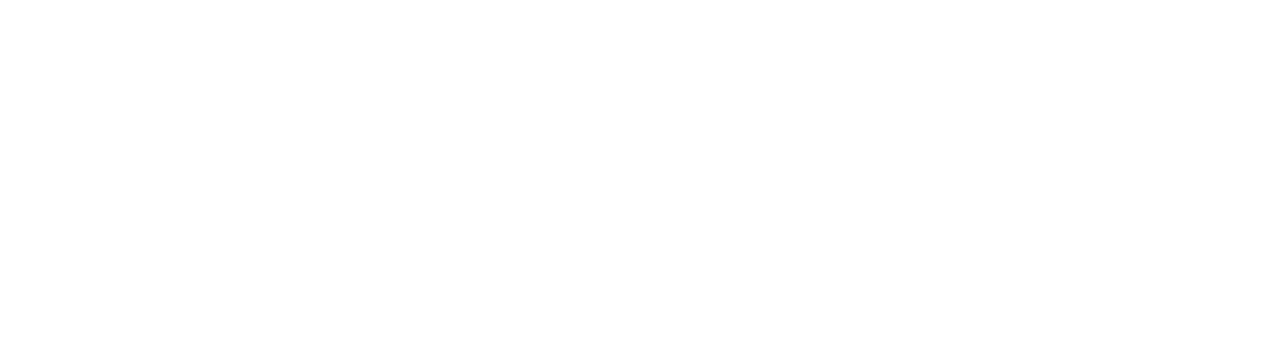 WILDCHAINS logo